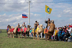 Как ты прекрасна, степь моя, в апреле!