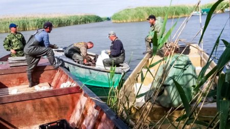Хорошей погоды и богатых уловов!