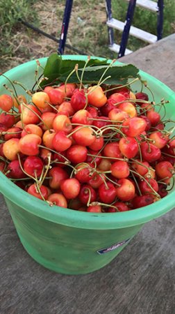 Теегт зер-земшин модд урһав