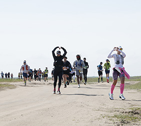 ТЮЛЬПАНЫ, СТЕПЬ, ВЕТЕР