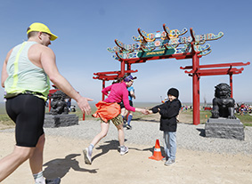 ТЮЛЬПАНЫ, СТЕПЬ, ВЕТЕР