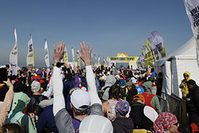 ТЮЛЬПАНЫ, СТЕПЬ, ВЕТЕР